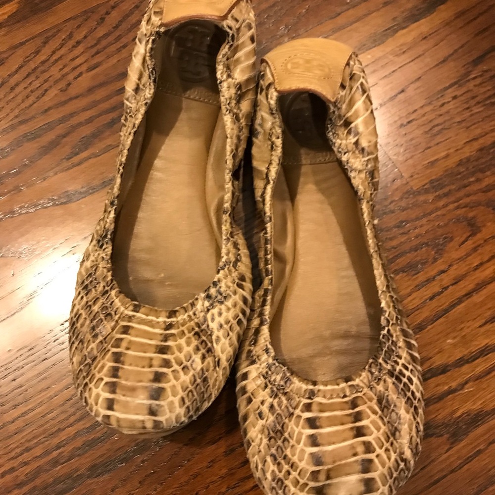 Animal Print story Burch Flats Size 6!